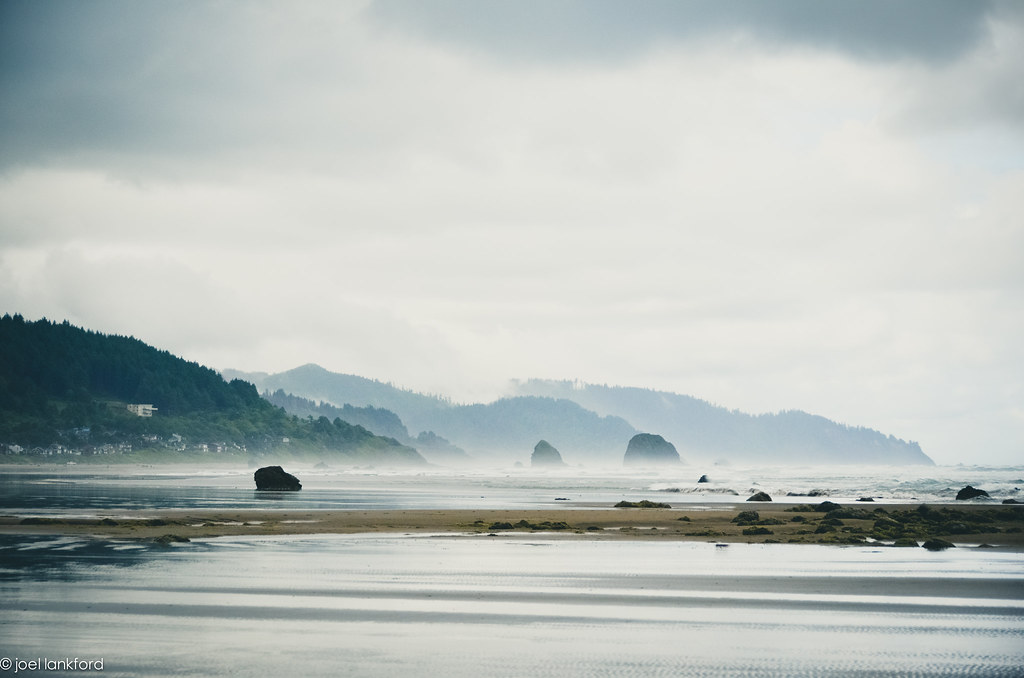 Misty coastal shoreline with forested hills under a cloudy sky